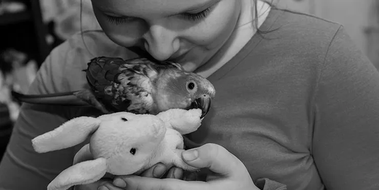 Imagen cabecera post