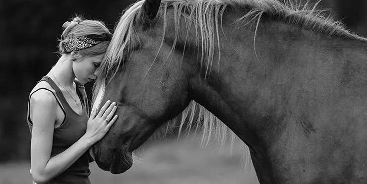 Imagen cabecera post