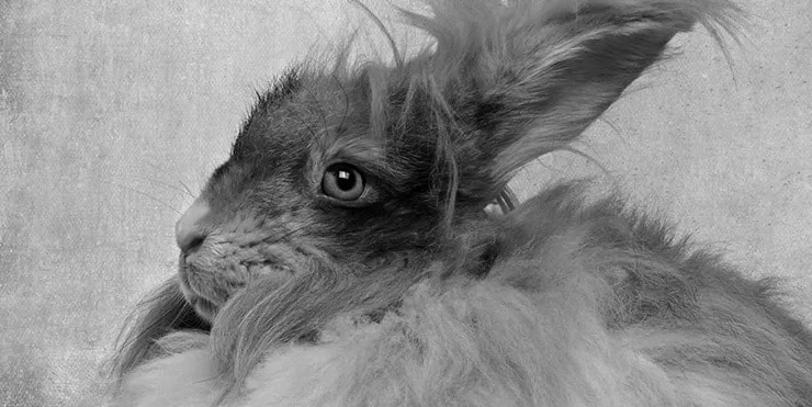 Imagen cabecera post