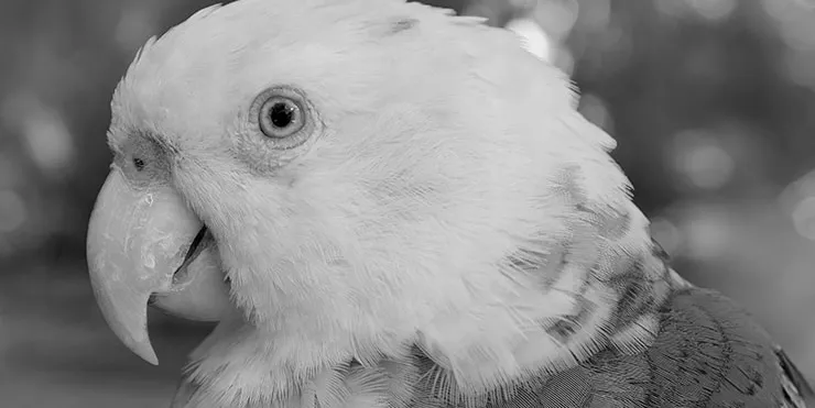 Imagen cabecera post