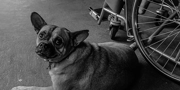 Imagen cabecera post