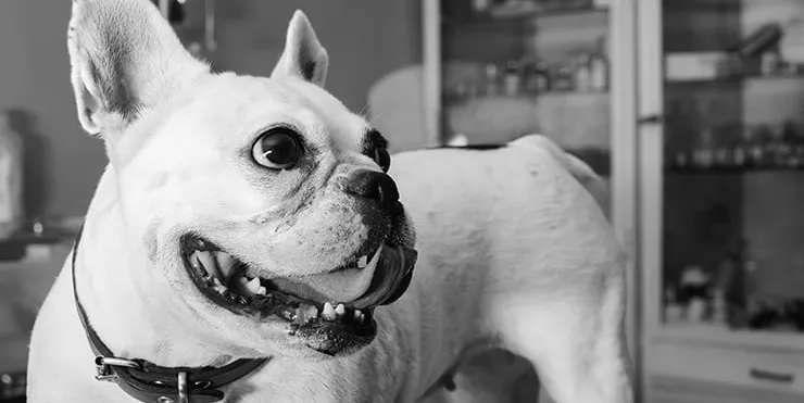 Imagen cabecera post