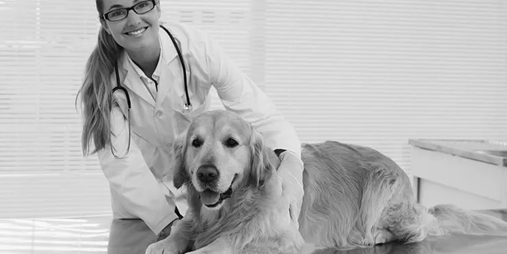 Imagen cabecera post