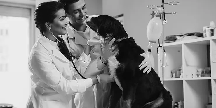 Imagen cabecera post