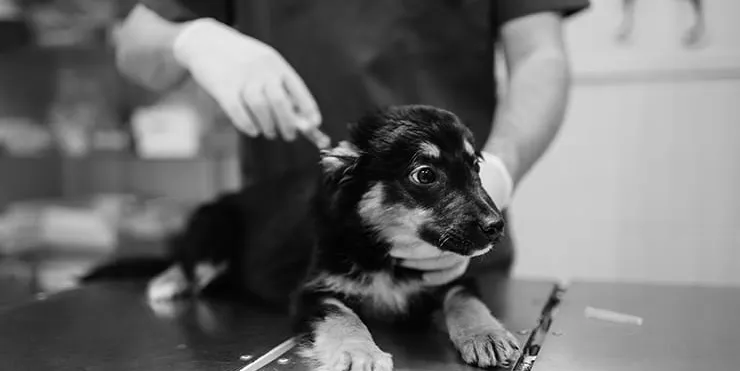 Imagen cabecera post