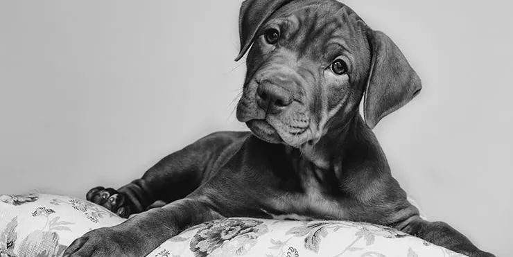 Imagen cabecera post