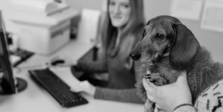 Imagen cabecera post