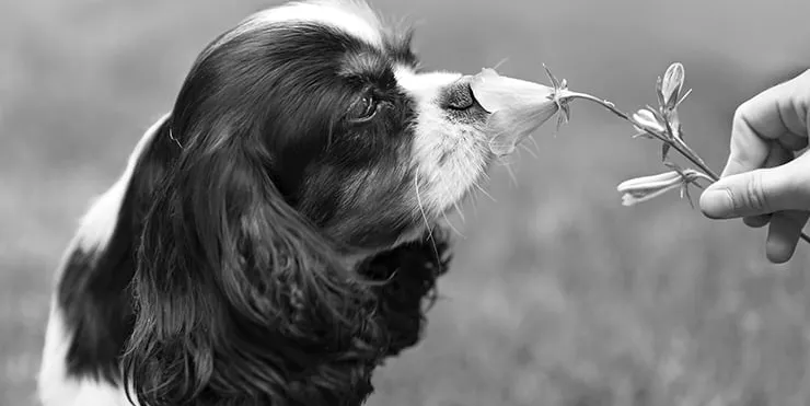 Imagen cabecera post