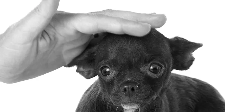 Imagen cabecera post