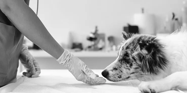 Imagen cabecera post