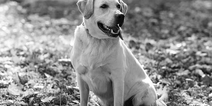 Imagen cabecera post