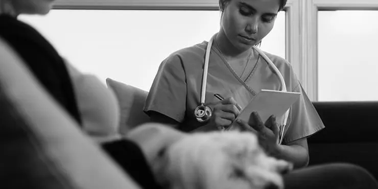 Imagen cabecera post