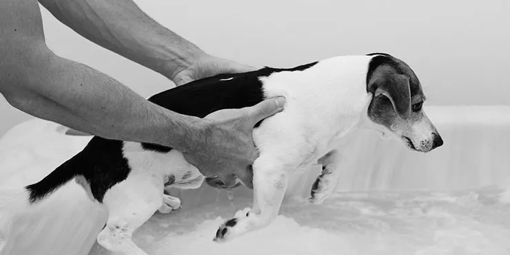 Imagen cabecera post