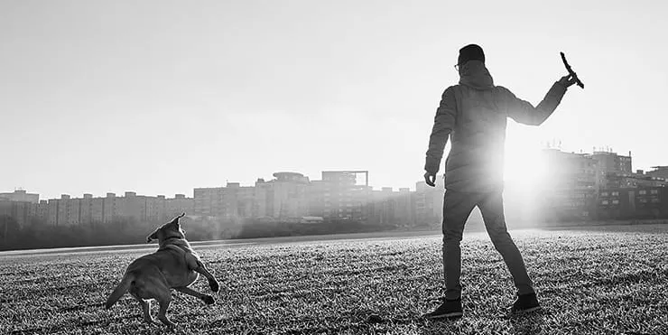 Imagen cabecera post