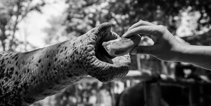 Imagen cabecera post