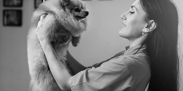 Imagen cabecera post