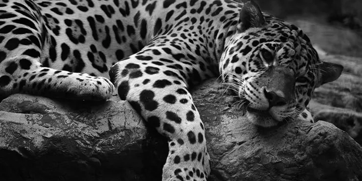 Imagen cabecera post