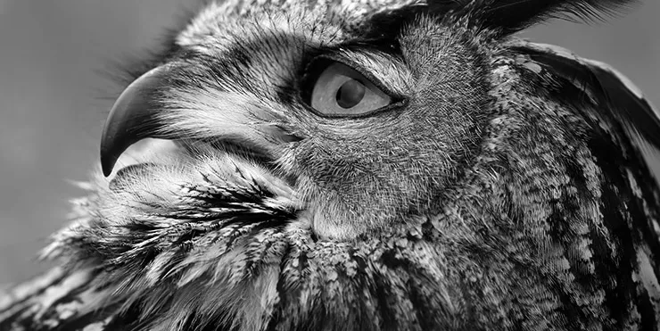 Imagen cabecera post