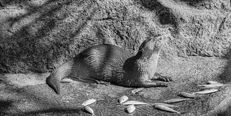 Imagen cabecera post