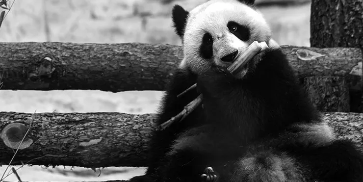 Imagen cabecera post