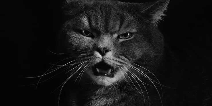 Imagen cabecera post