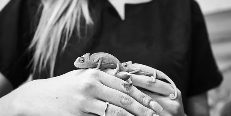 Imagen cabecera post