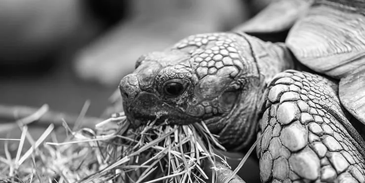 Imagen cabecera post