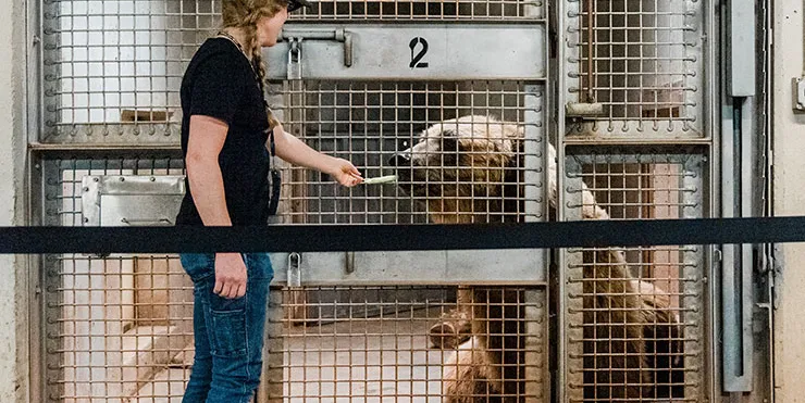 Imagen cabecera post