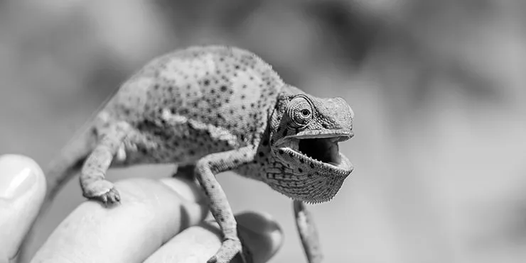 Imagen cabecera post