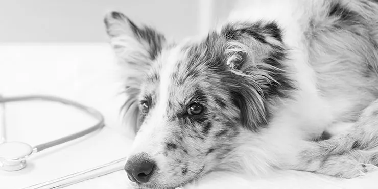 Imagen cabecera post