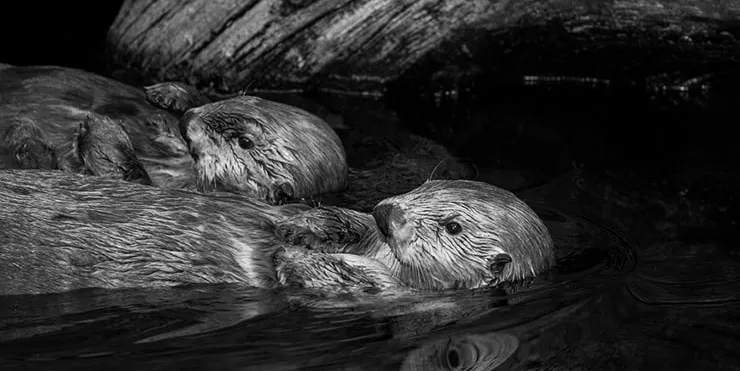 Imagen cabecera post