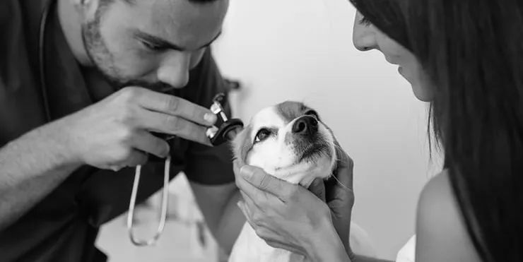 Imagen cabecera post