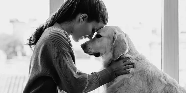 Imagen cabecera post