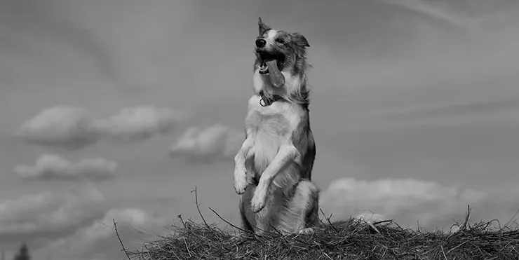 Imagen cabecera post