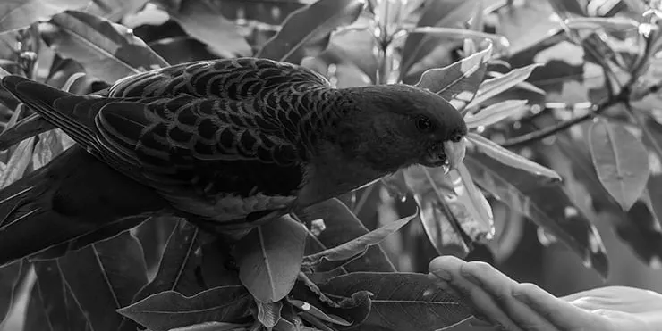 Imagen cabecera post