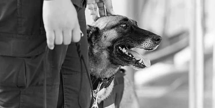 Imagen cabecera post