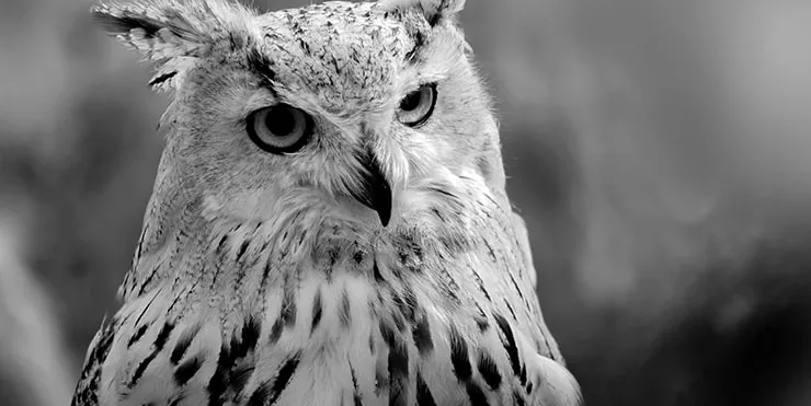 Imagen cabecera post