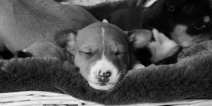 Imagen cabecera post