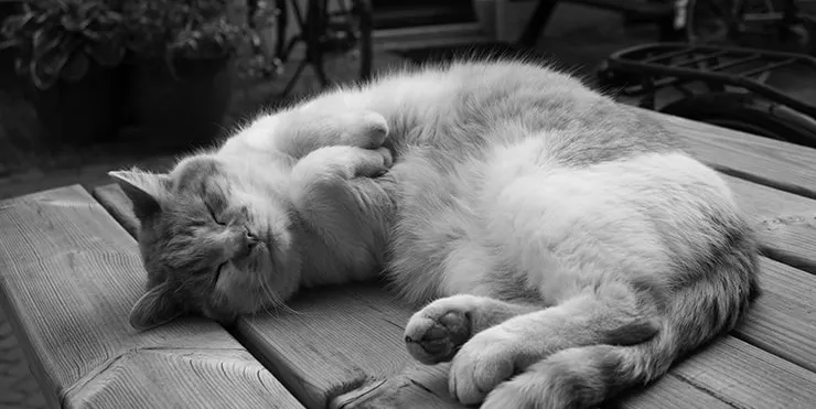 Imagen cabecera post