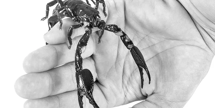 Imagen cabecera post