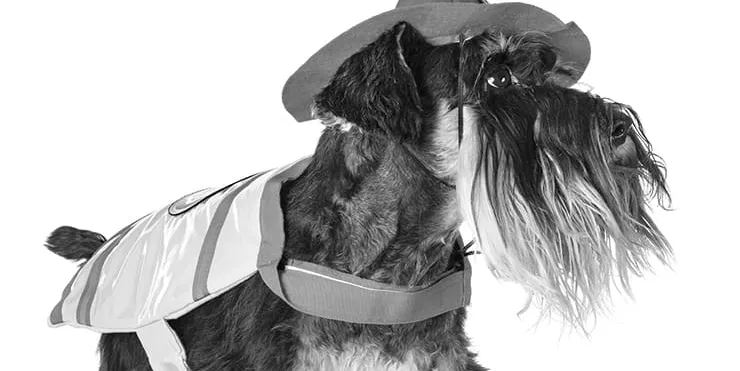 Imagen cabecera post