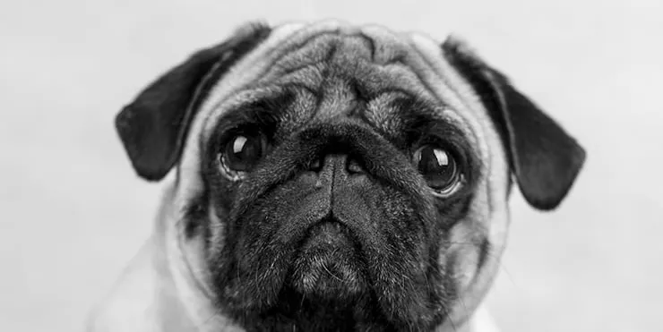 Imagen cabecera post