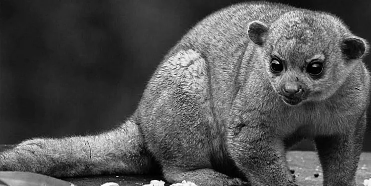 Imagen cabecera post