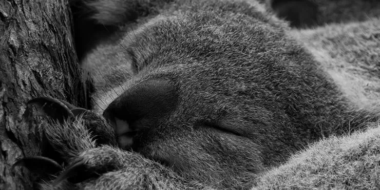 Imagen cabecera post