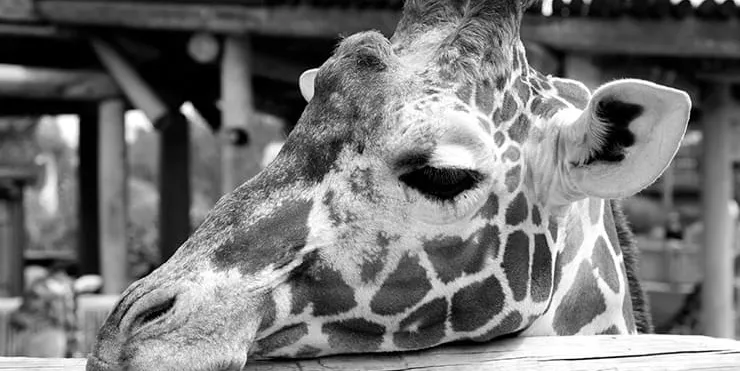 Imagen cabecera post