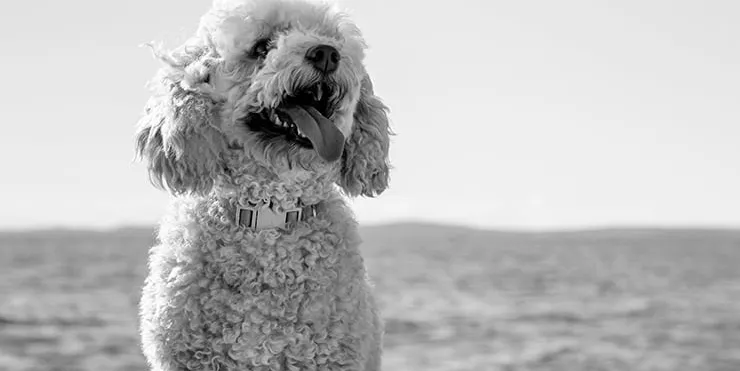 Imagen cabecera post