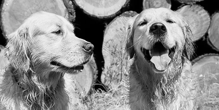 Imagen cabecera post