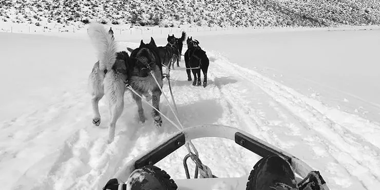 Imagen cabecera post