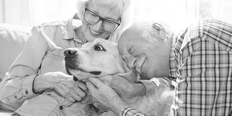 Imagen cabecera post