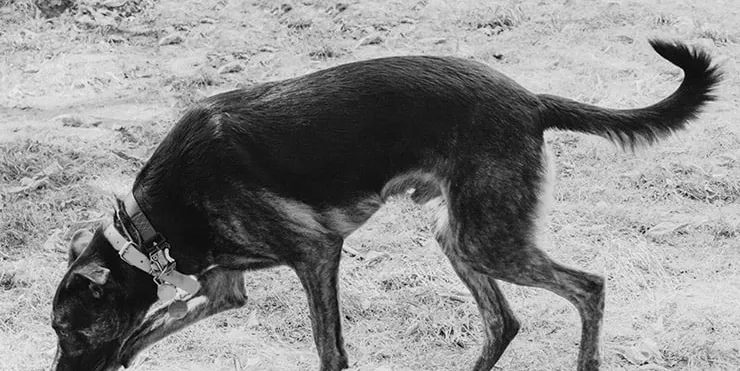 Imagen cabecera post